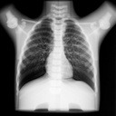 Paediatric Chest Phantom